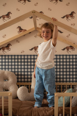 Dream Nest pine house bed 80x160 with railings