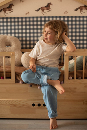 Dream nest pine house bed 80x160 along with two safety rails and a drawer