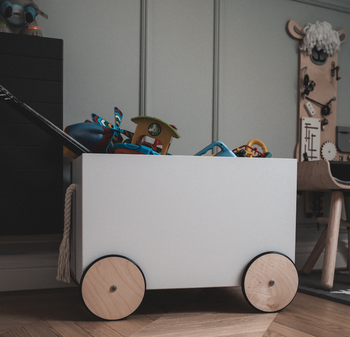 Lotta snow toy chest on wheels