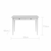 Ines elegant desk