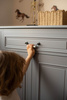 Ines neutral gray 2-door chest