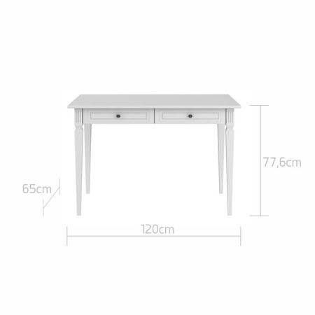 Ines elegant desk
